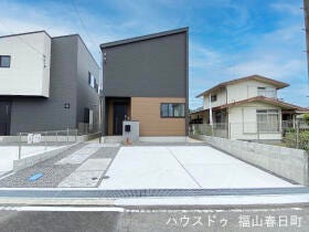 概観画像