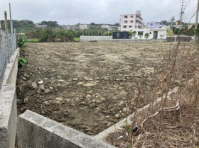 概観画像
