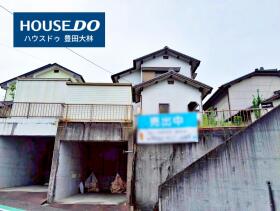 概観画像