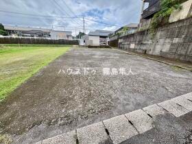 概観画像