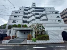 概観画像