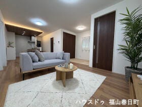 概観画像
