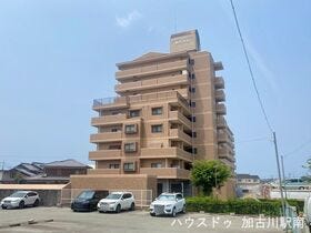 概観画像