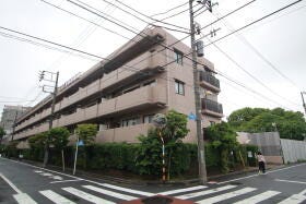 概観画像