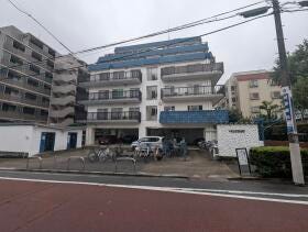 概観画像