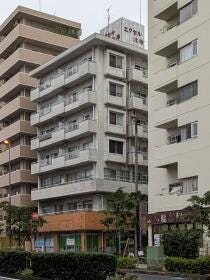 概観画像