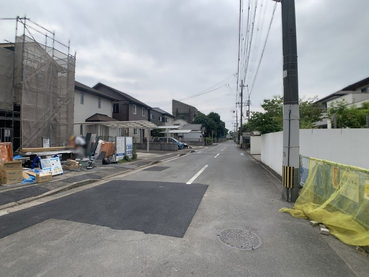 2026年7月上旬撮影