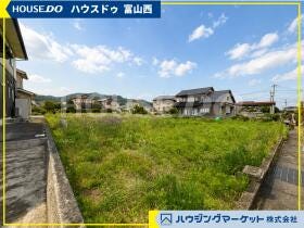 概観画像