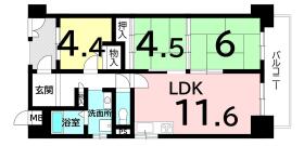 間取画像