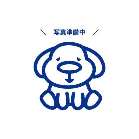 概観画像