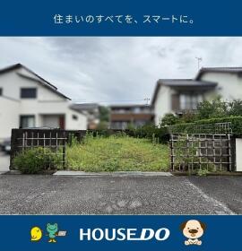 概観画像