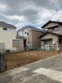 概観画像