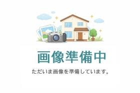 概観画像