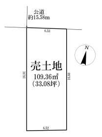 概観画像