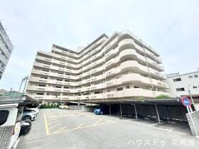 概観画像