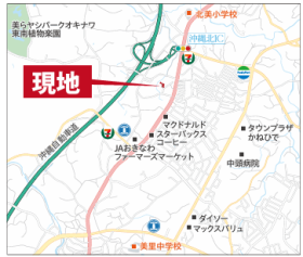 概観画像