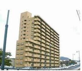 概観画像