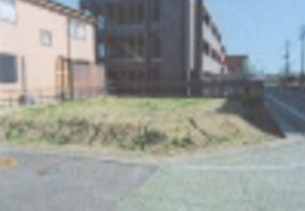 概観画像