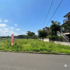 入間市大字野田