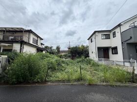 概観画像