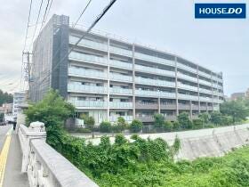 概観画像