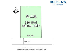 概観画像