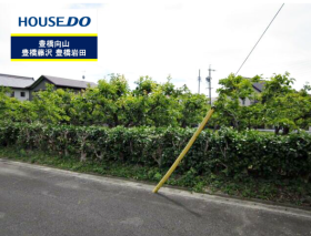 概観画像