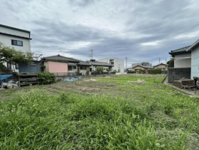 概観画像
