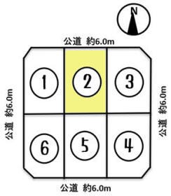 概観画像