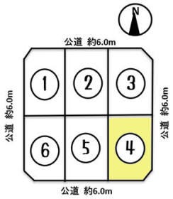 概観画像