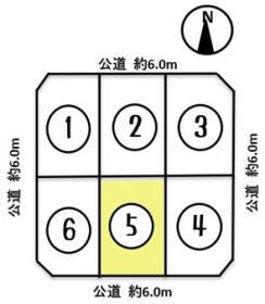 概観画像