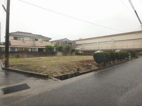 概観画像