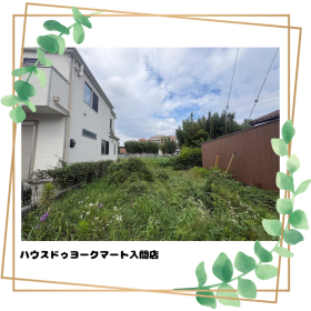 概観画像
