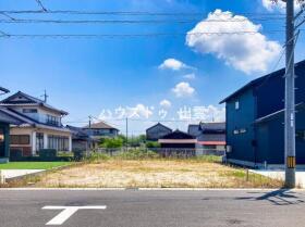 概観画像