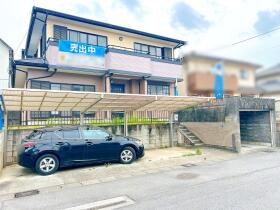 概観画像