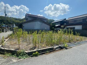 概観画像