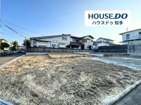 概観画像