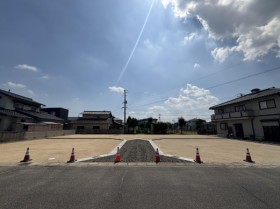 概観画像