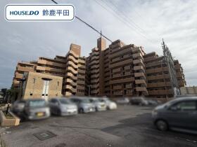 概観画像