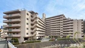 概観画像