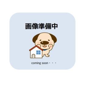 概観画像