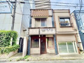 概観画像
