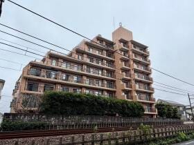 概観画像