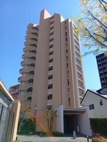 川口市大字赤山