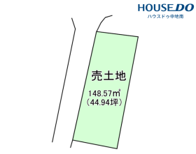 概観画像