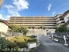 概観画像