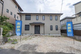 概観画像