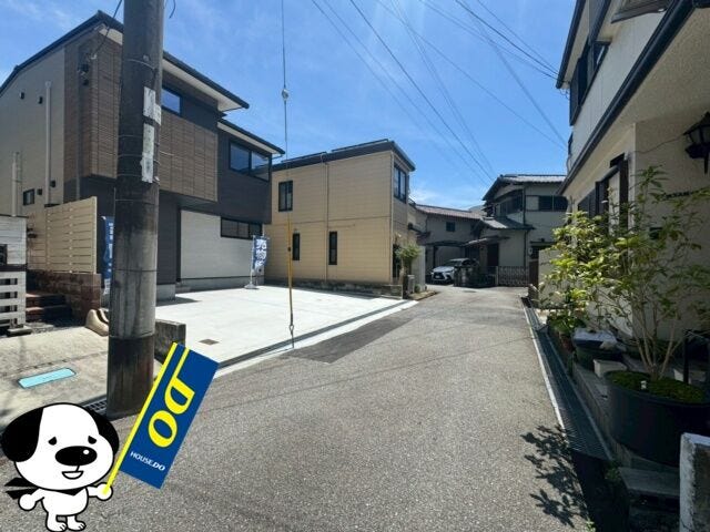 2026年7月撮影