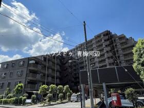 概観画像