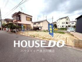 概観画像